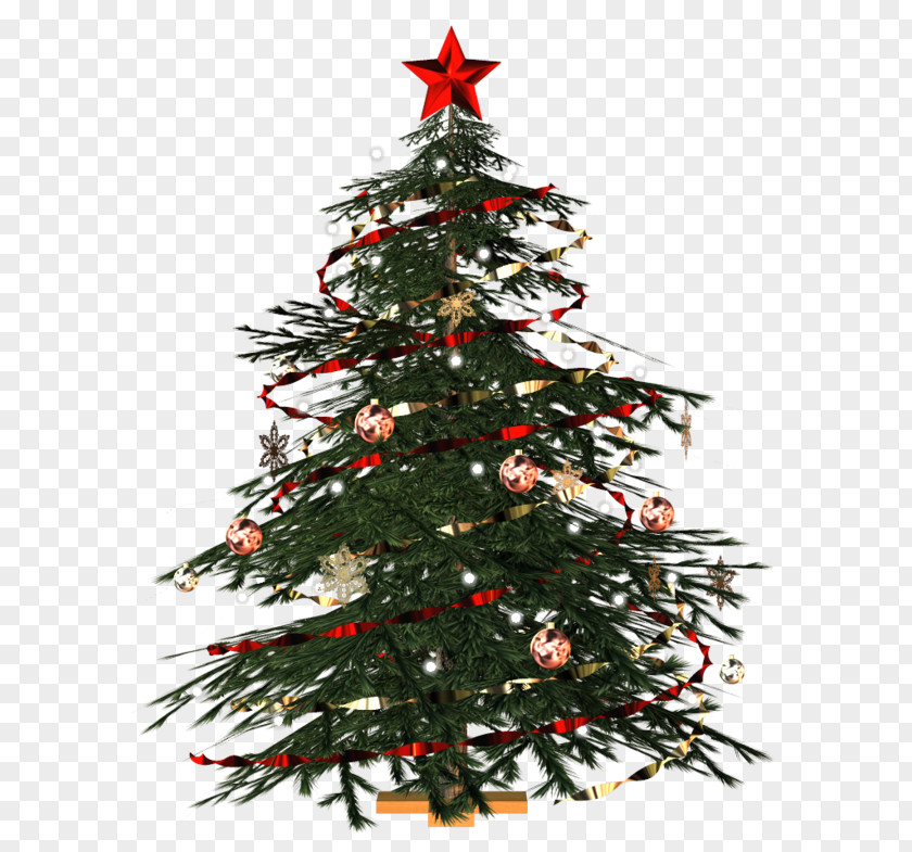 Cute Christmas Tree Clip Art PNG