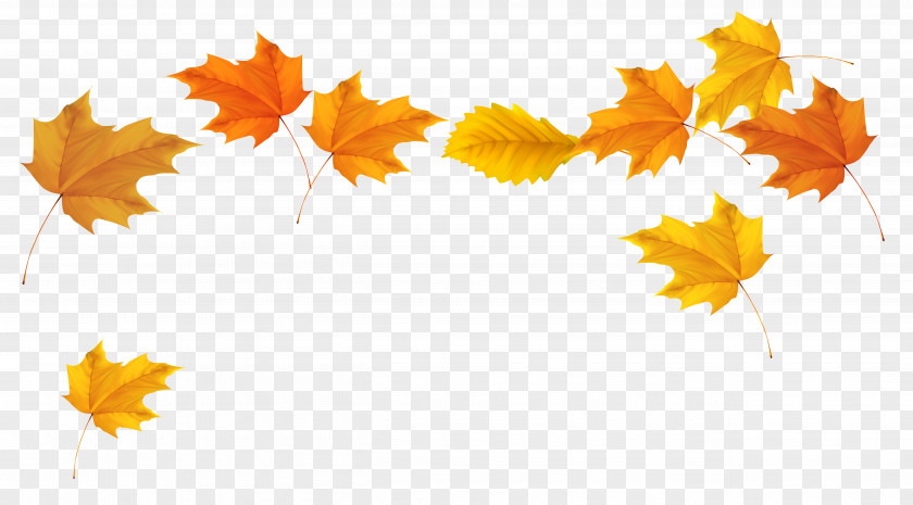 Falling Leaves Transparent Background Autumn Leaf Color Clip Art PNG
