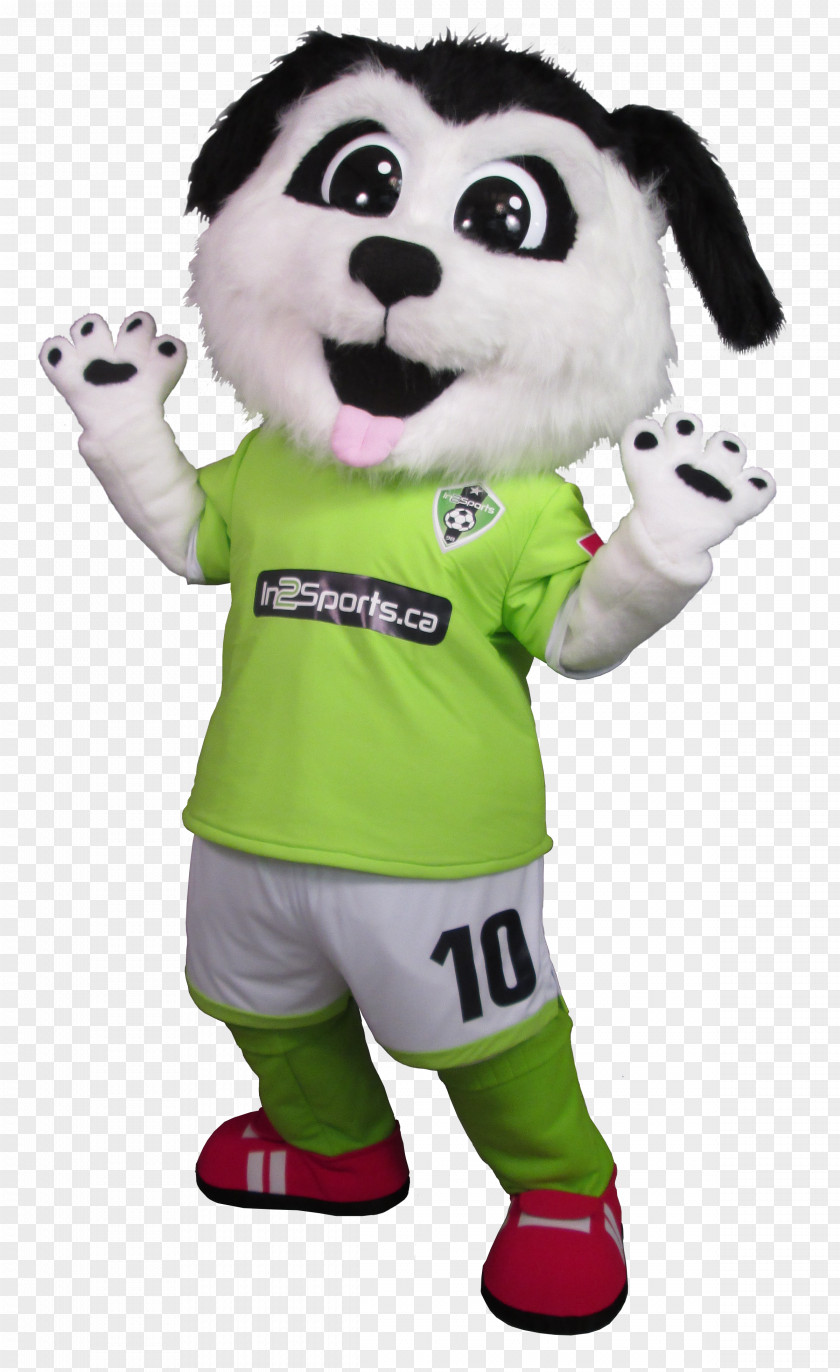 Mascot Costumes Sugar's Stuffed Animals & Cuddly Toys Costume Designer PNG