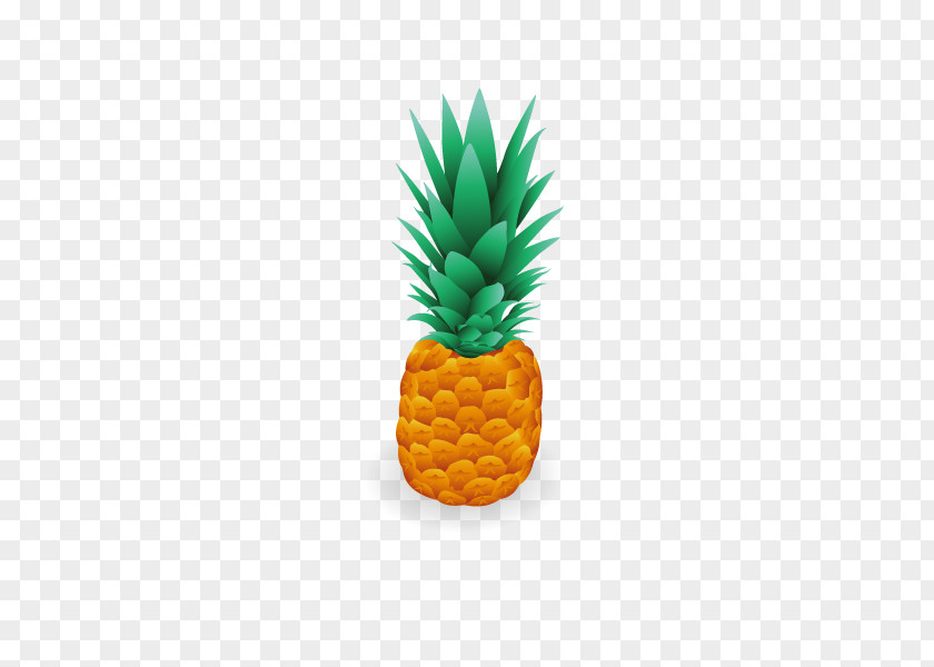 Vector Pineapple Euclidean Download PNG