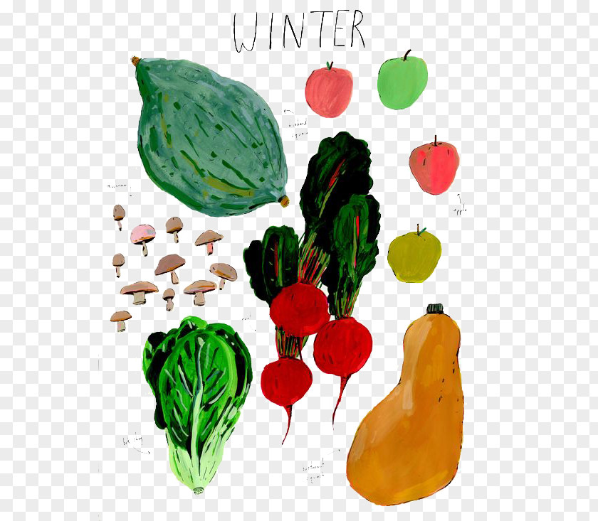 Vegetables Vegetable Gratis Food Illustration PNG