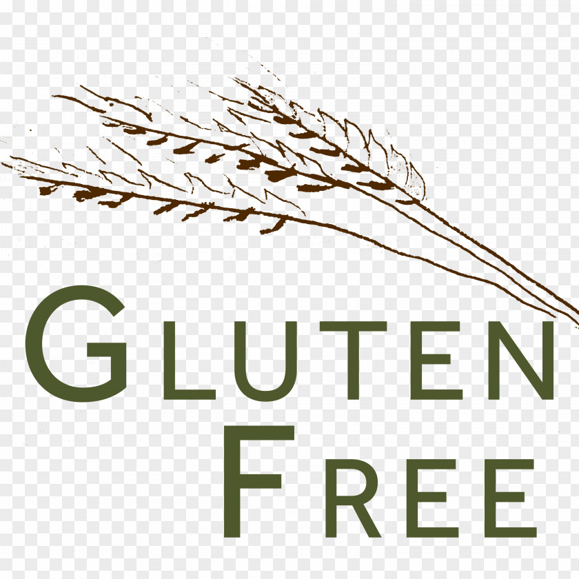 Celiac Disease Gluten Freedom: The Nation's Leading Expert Offers Essential Guide To A Healthy, Gluten-Free Lifestyle Gluten-free Diet Food PNG