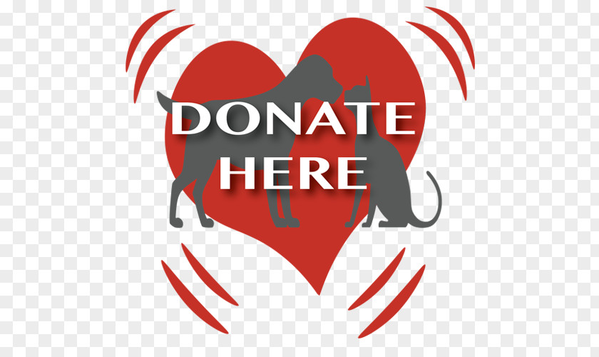 Donate Dog Donation Animal Hope And Wellness Foundation PNG