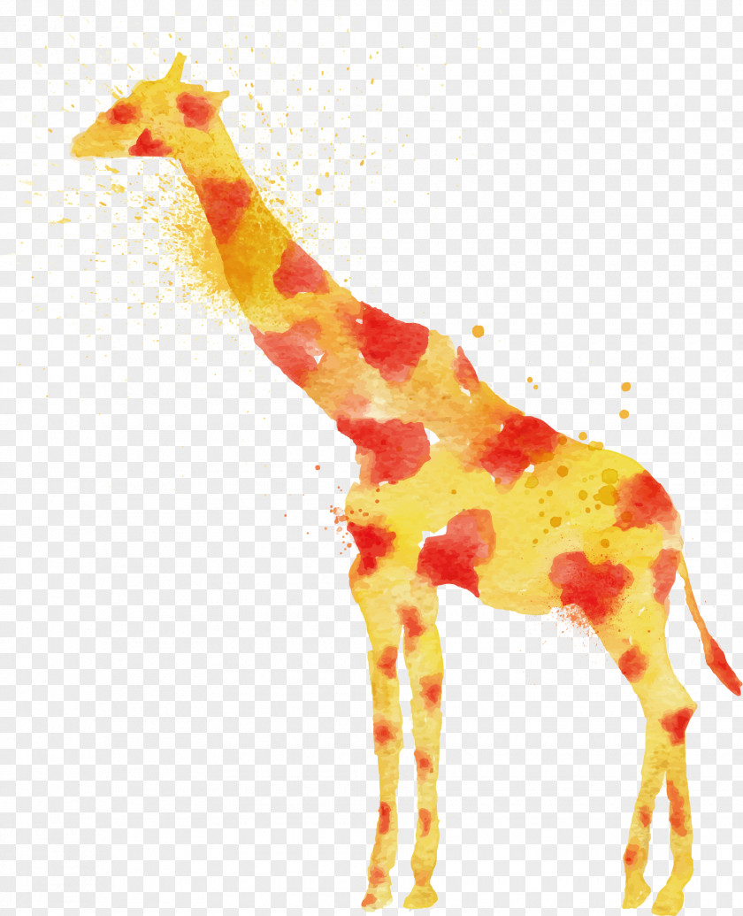 Giraffe Vector Lion Watercolor Painting Drawing PNG
