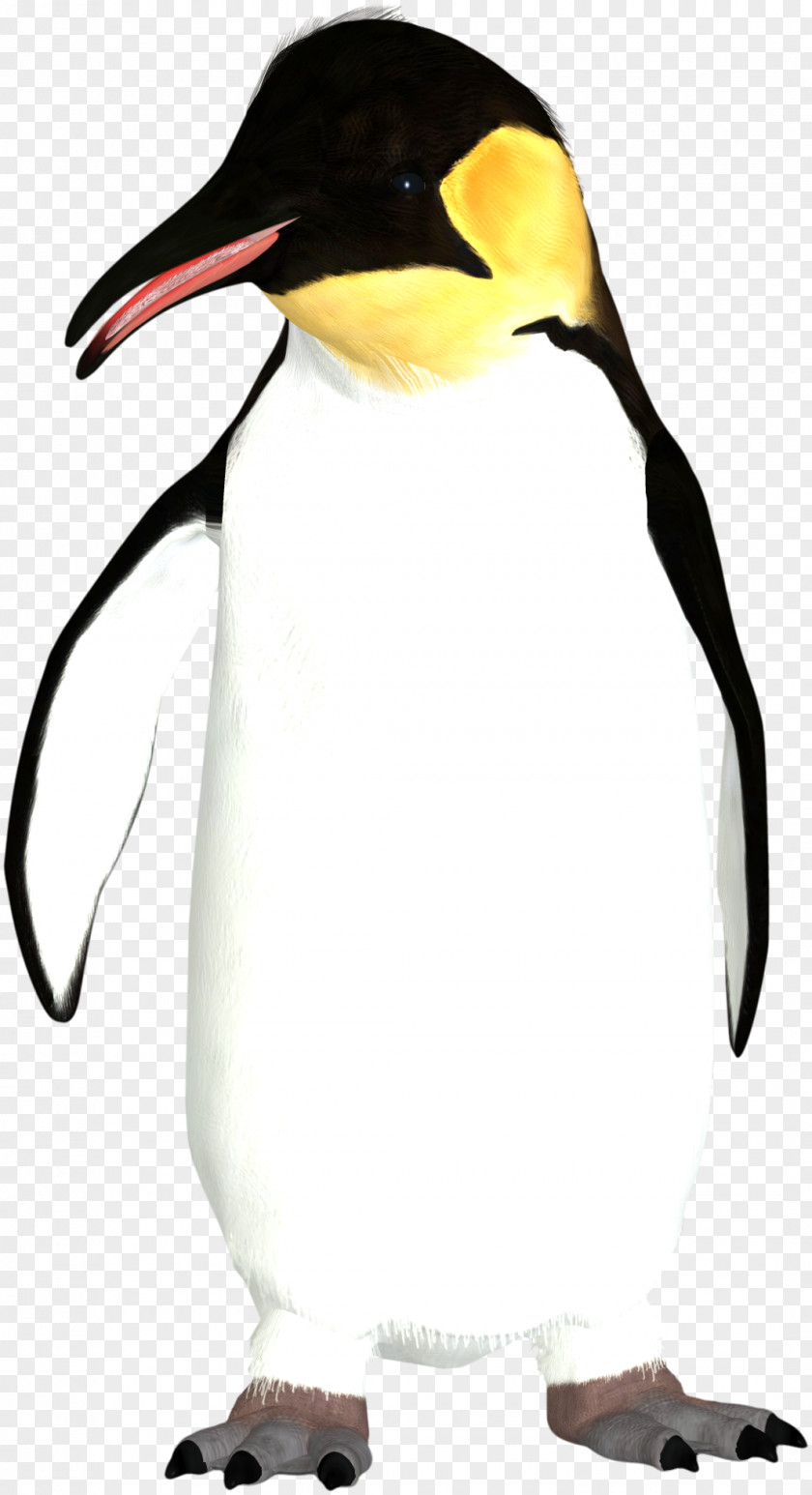 Penguin King Icon PNG