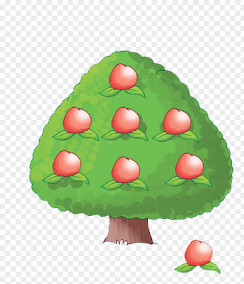 An Apple Tree Fruit Illustration PNG
