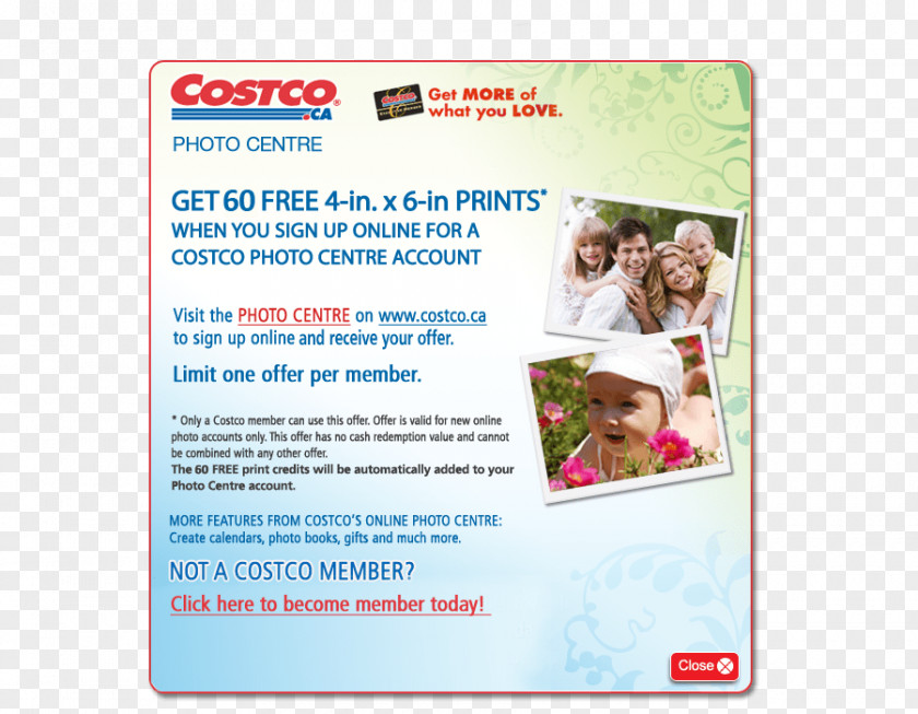 Costco Photography Kapo Partition Wall Egg Font PNG
