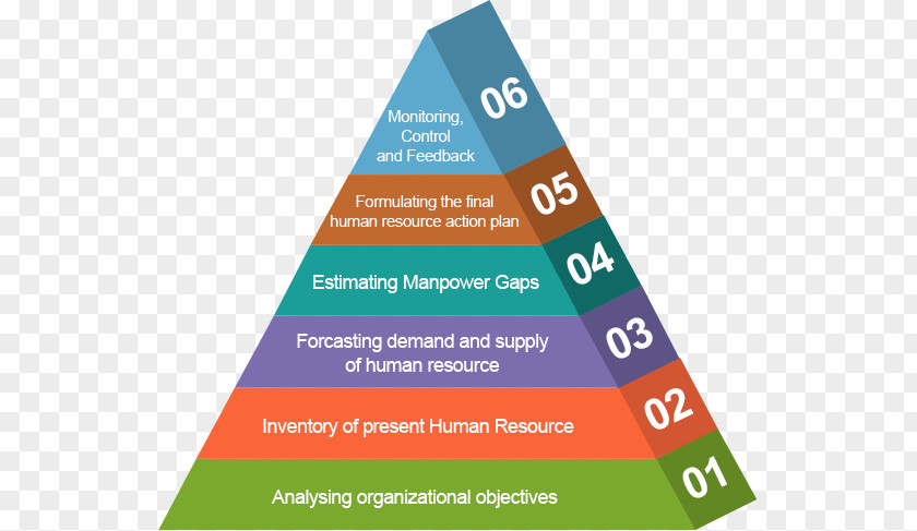 Development Cycle Strategic Human Resource Planning ManpowerGroup Organization Recruitment PNG