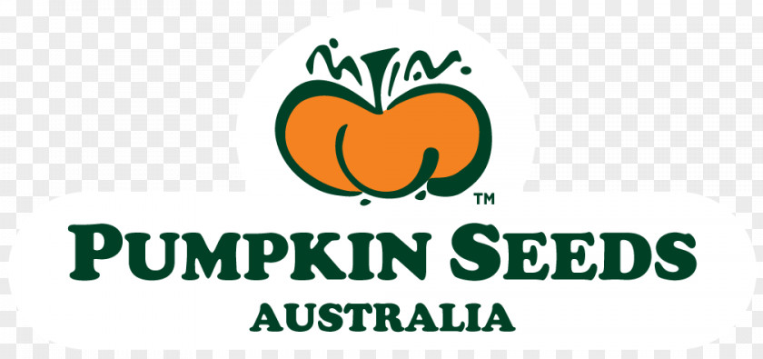 Pumpkin Seeds Seed Oil Food Pepo PNG