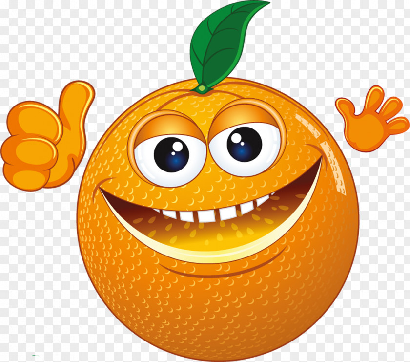 Smiling Oranges Orange Pumpkin Smile Clip Art PNG