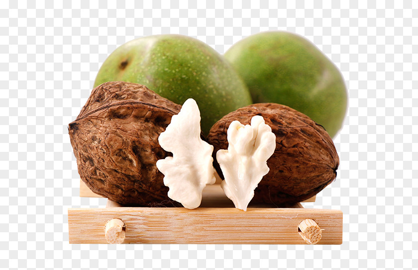 White Walnut Food Peel Fruit PNG
