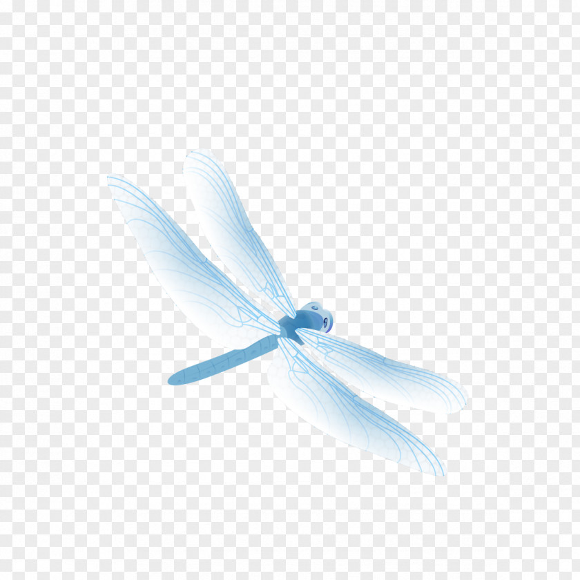 Blue Dragonfly Insect Wallpaper PNG
