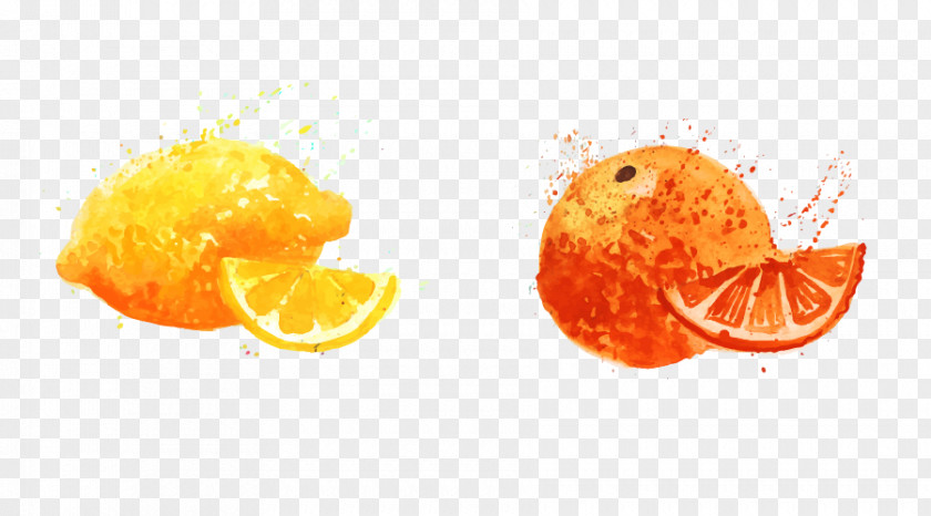 Cartoon Hand Painted Orange Lemon Fruit Auglis Food PNG