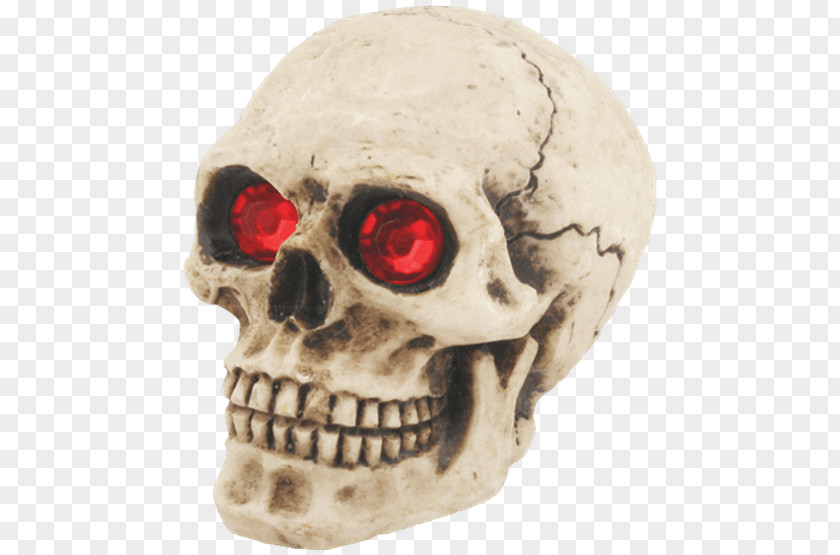 Skull Knob Gear Stick Skeleton Shift PNG