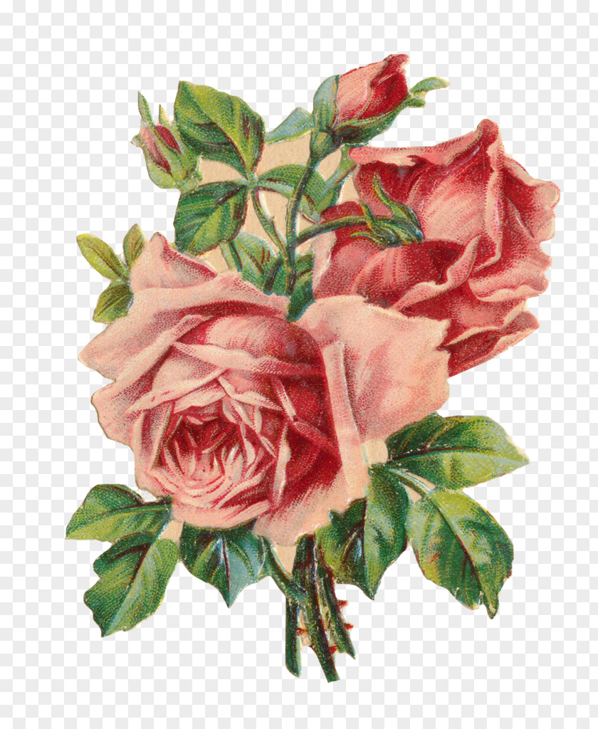 Watercolor Rose Paper Pin Flower Clip Art PNG