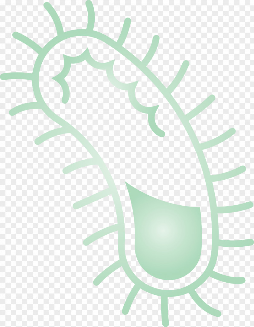 Bacteria Germs Virus PNG