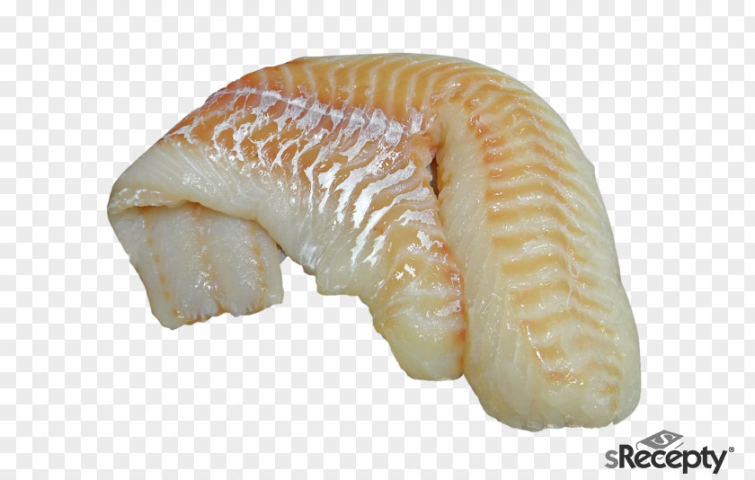 Fry Fish Iridescent Shark Cod Finger Fillet PNG