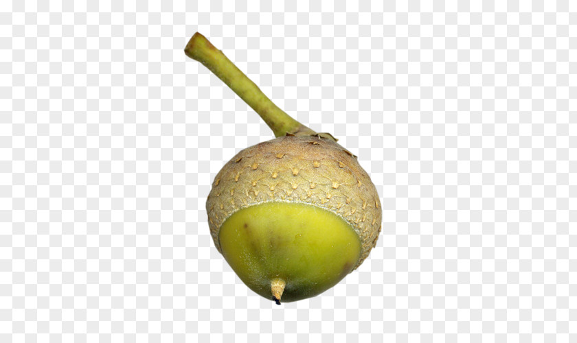 Kiwifruit PNG