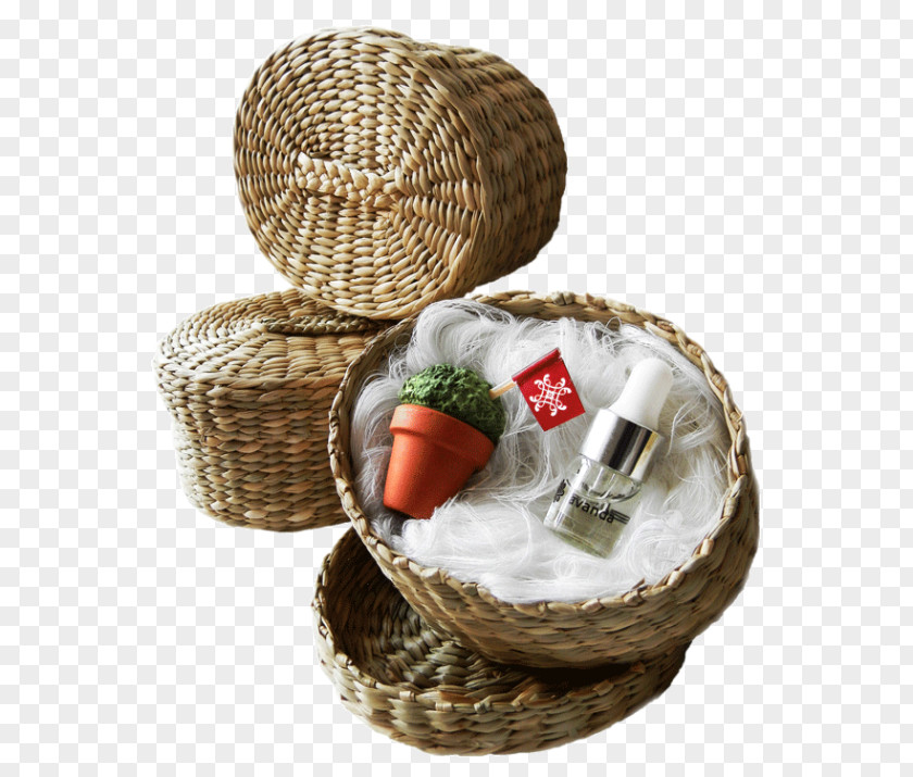 Manjerico Pictogram Hamper Food Gift Baskets Ocimum Minimum Ceramic PNG