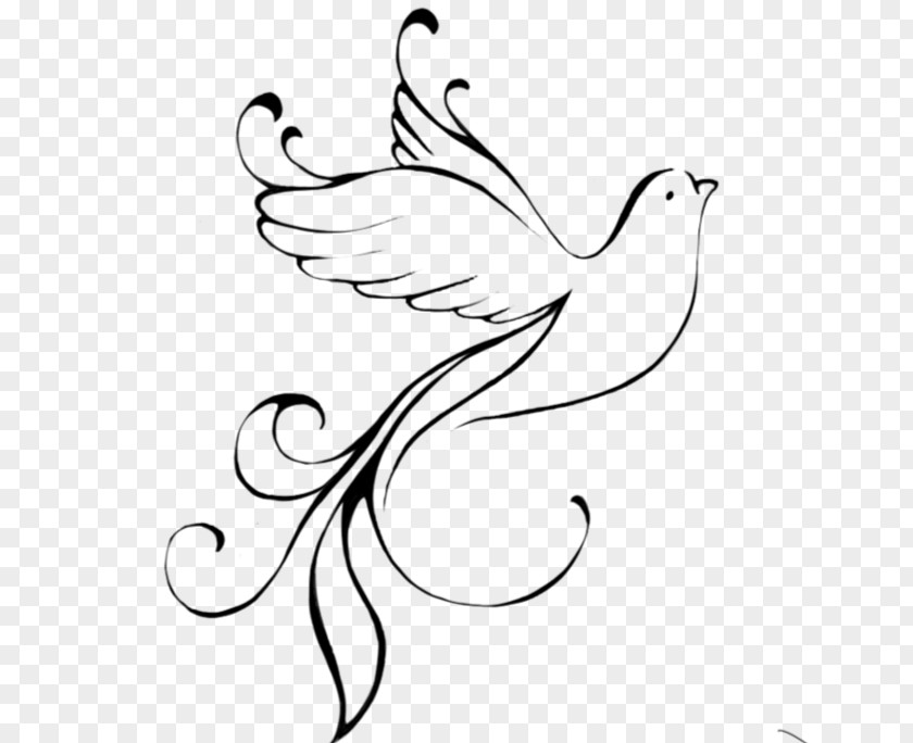 Nice Columbidae Tattoo Doves As Symbols Drawing PNG