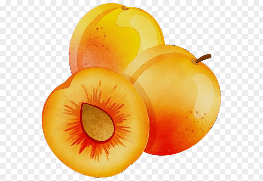 Superfood Natural Foods Orange PNG