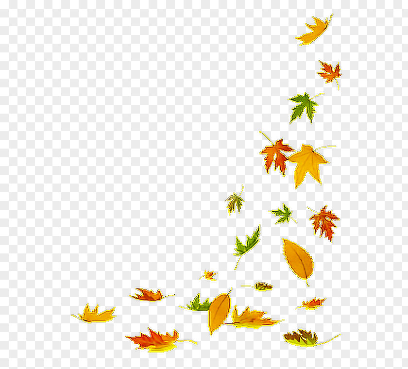 Pedicel Wildflower Autumn Leaves Background PNG