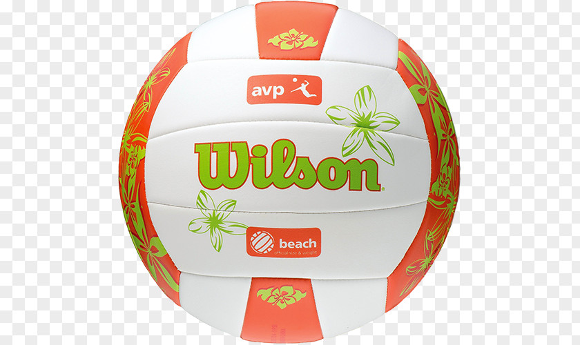 Volleyball Association Of Professionals Beach Hawaii Rainbow Wahine PNG