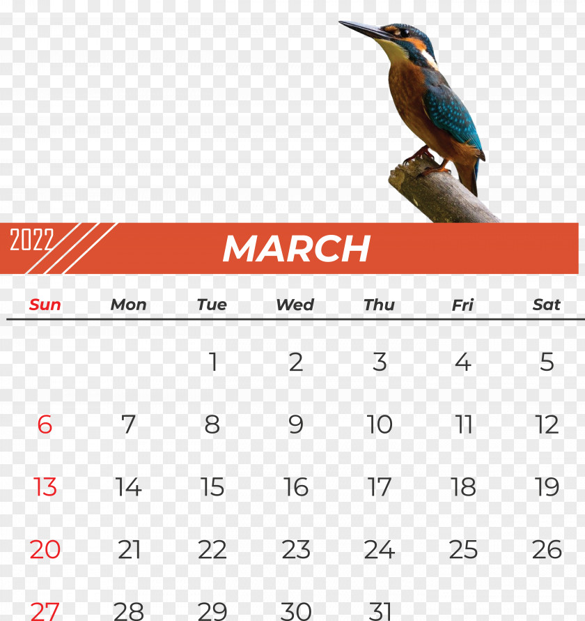 Birds Beak Calendar Font Research PNG