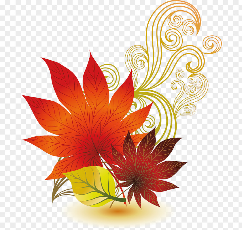 Leaf Vector Graphics Clip Art Illustration Image PNG