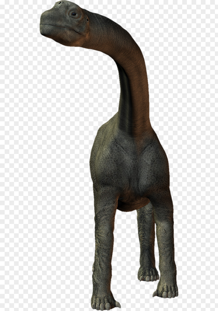 Velociraptor Tyrannosaurus Terrestrial Animal Snout PNG