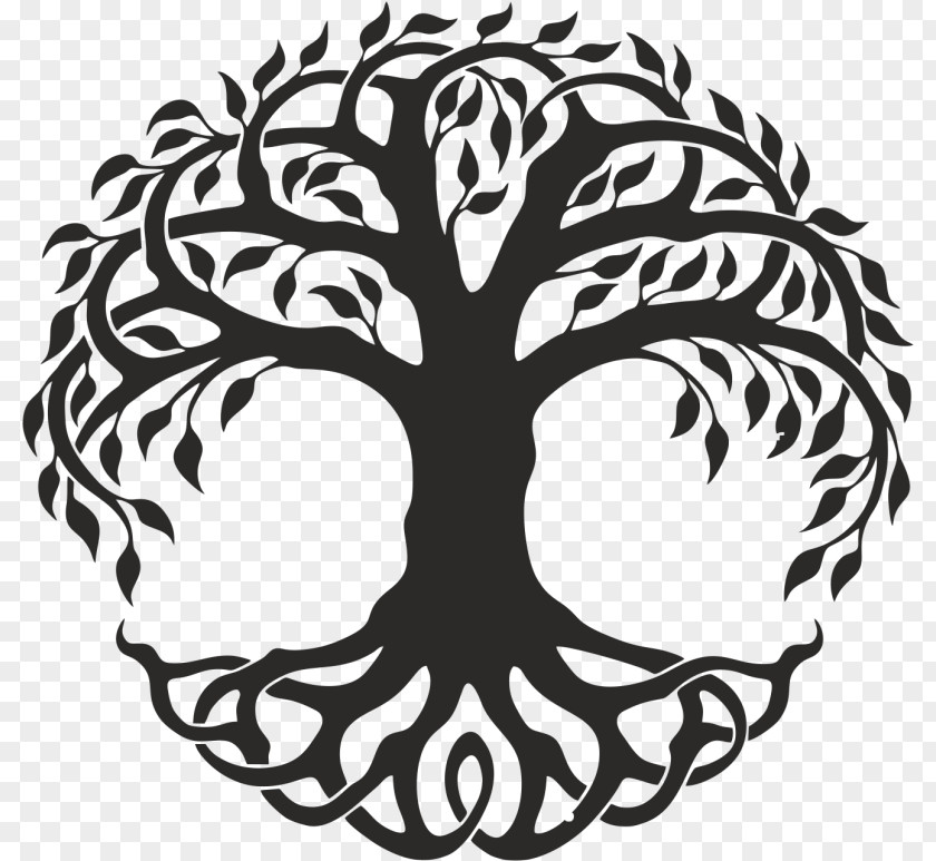 Celtic Tree Of Life Figure Drawing Clip Art Image PNG