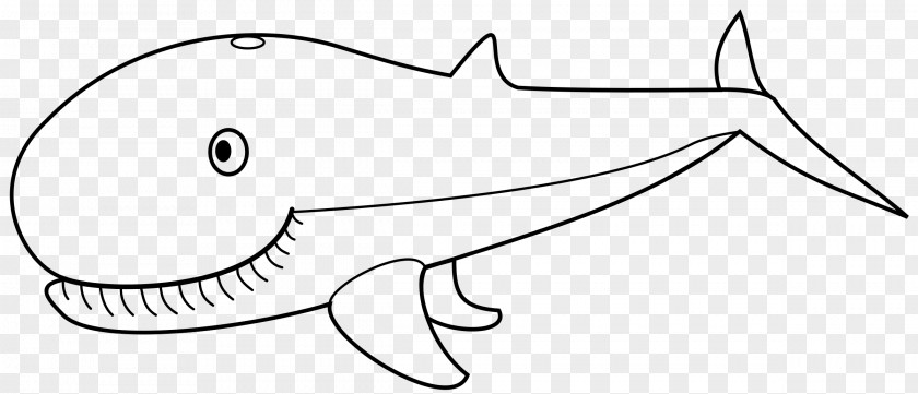 Eye Line Art Cetacea Drawing Vertebrate Clip PNG