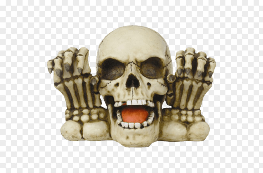 Horror Skull Skeleton Bank Coin Money PNG