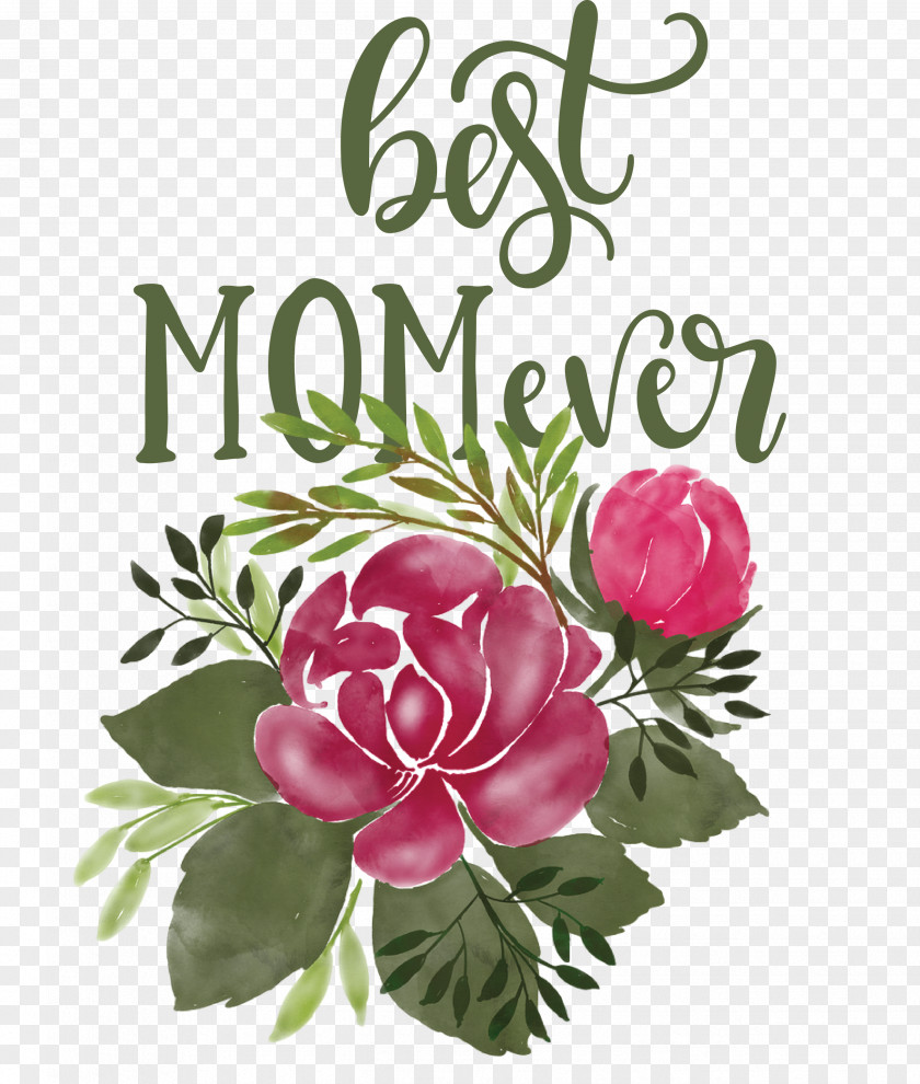 Mothers Day Best Mom Ever Quote PNG