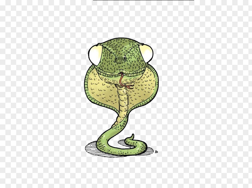 Zodiac Snake Chinese Illustration PNG