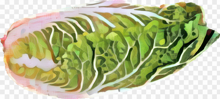 Greens DISH Vegetarian Cuisine Food Vegetarianism PNG