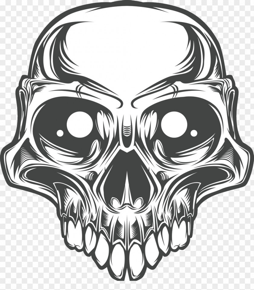 Skull Bone PNG