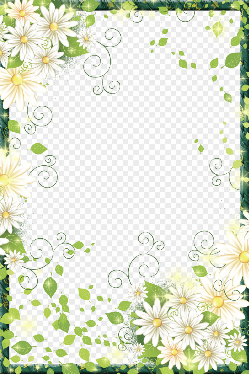 Beautiful Flowers Border Frame Picture PNG