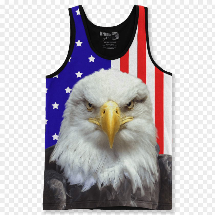 Eagle Material Bald T-shirt United States American Outfitters PNG