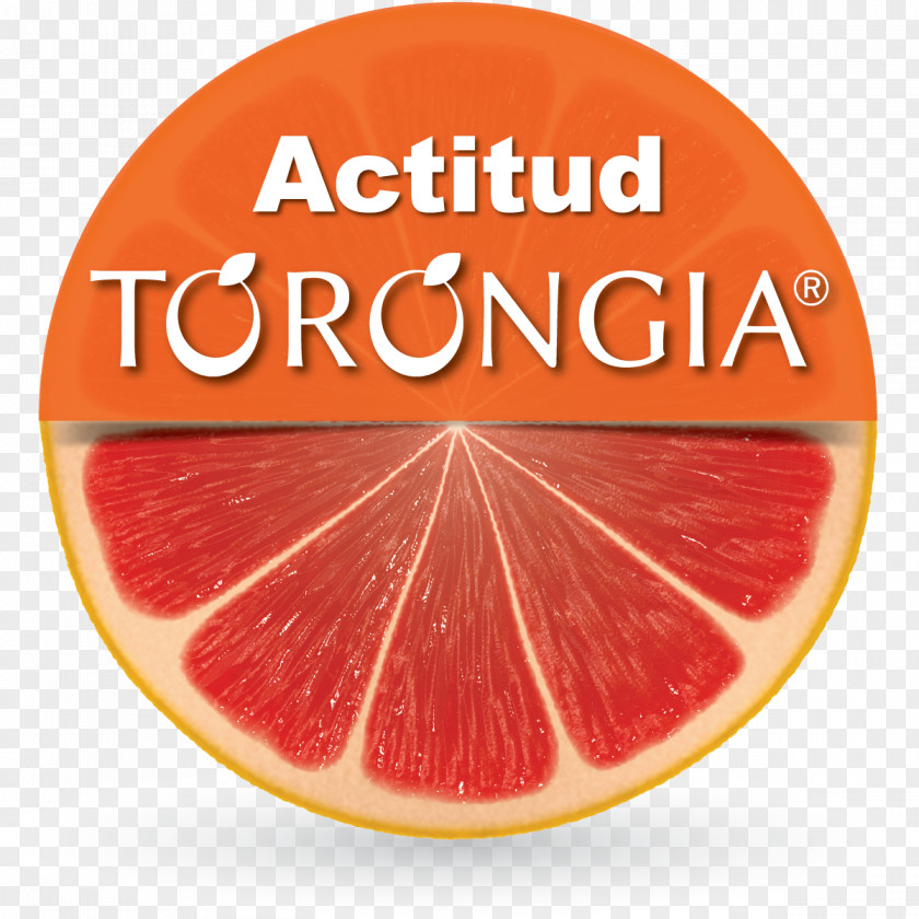 Grapefruit Blood Orange Juice Valencia Citric Acid PNG