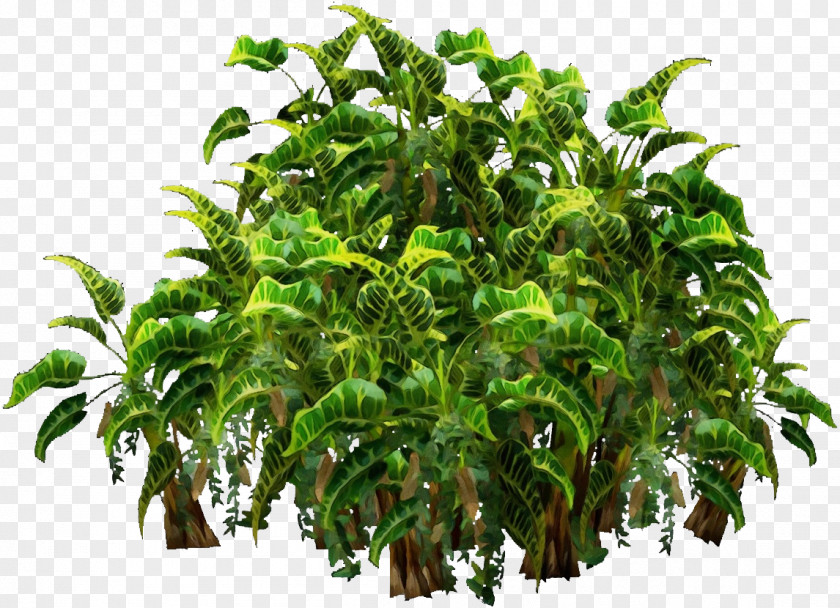 Herb Flowerpot Herbaceous Plant Design Shrub Tree Landscape Architecture PNG