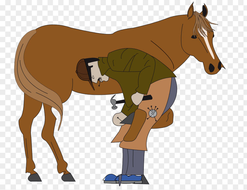 Horseshoe Farrier Clip Art Openclipart PNG