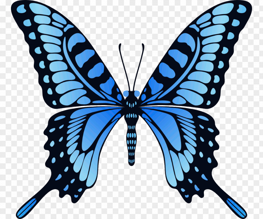 Butterfly GIF Animation Image Desktop Wallpaper PNG