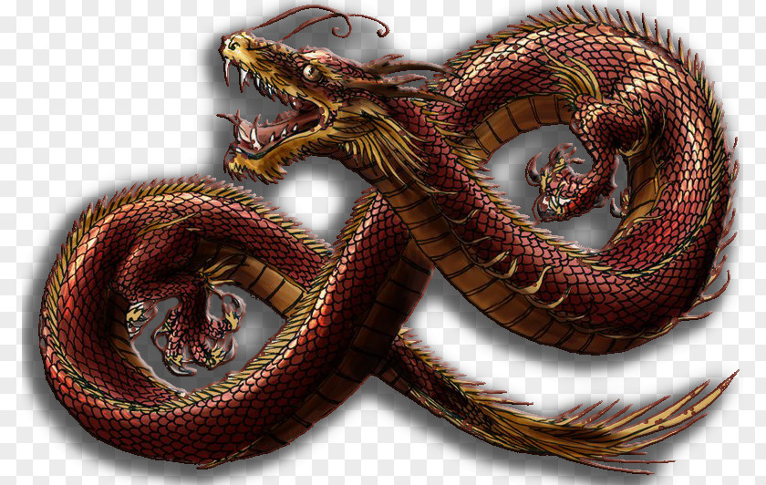 Dragon Chinese Serpent China Lord PNG