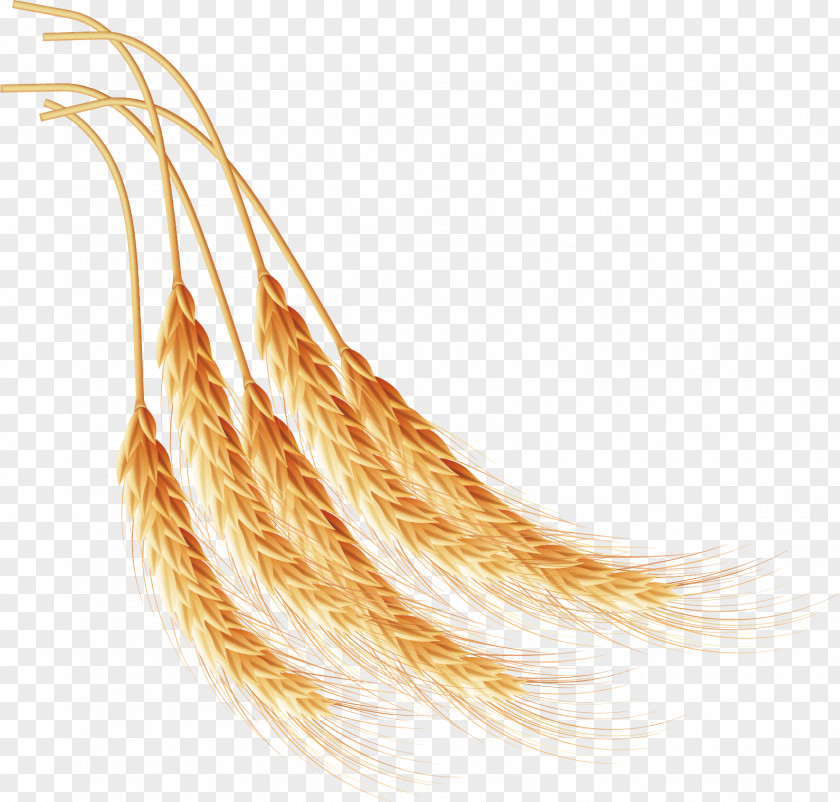 Ingredients Of Wheat Computer File PNG