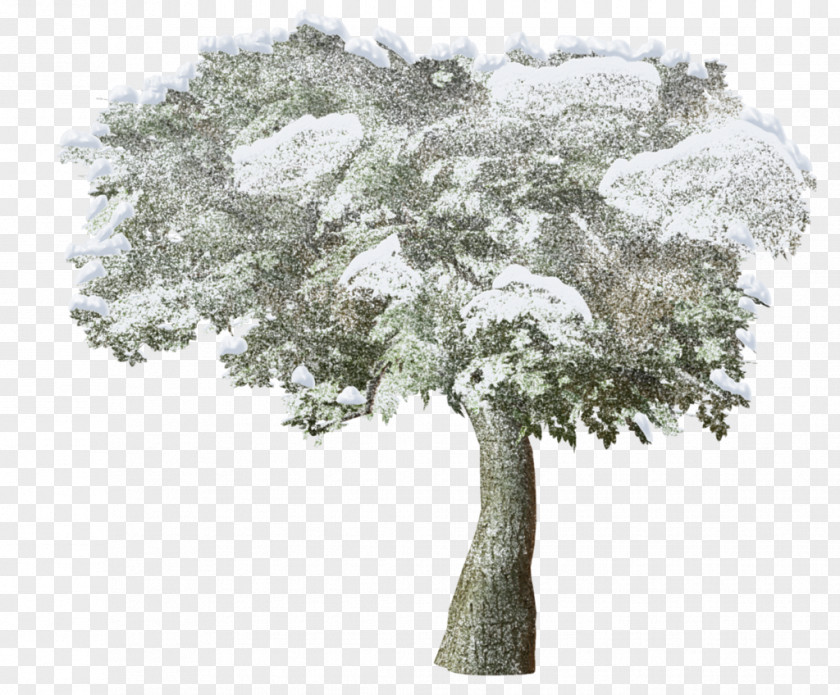 Snow Trees Clip Art Winter Adobe Photoshop PNG