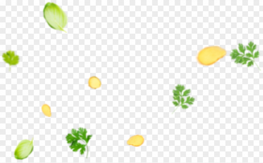 Spice Mix Desktop Wallpaper Leaf Petal PNG