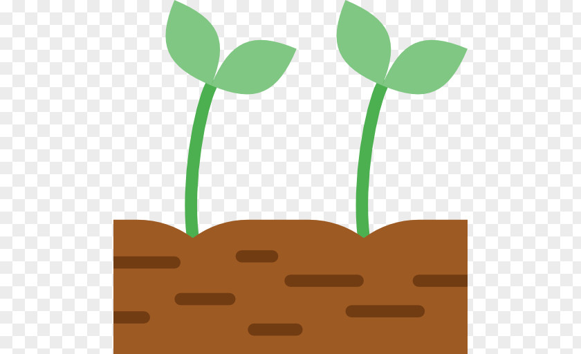 Sprout Sprouting Clip Art PNG