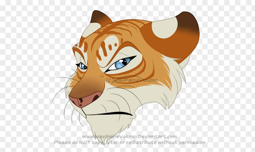 Tiger Whiskers Lion Cat Illustration PNG