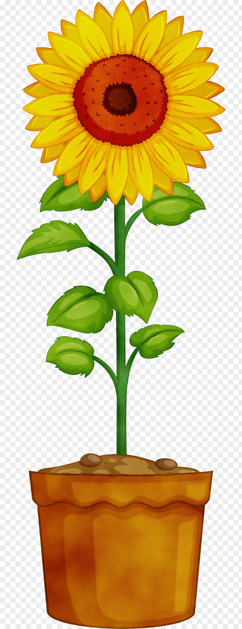 Vector Drawing Flowerpot Plant Stem Logo PNG